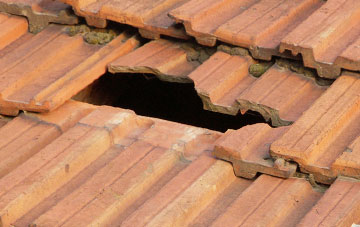 roof repair Priors Frome, Herefordshire